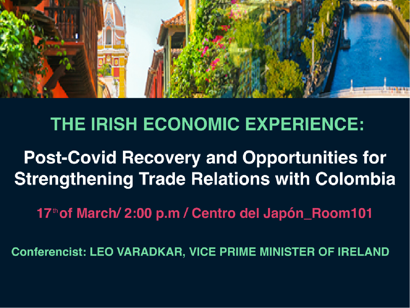 The Irish Economic Experience