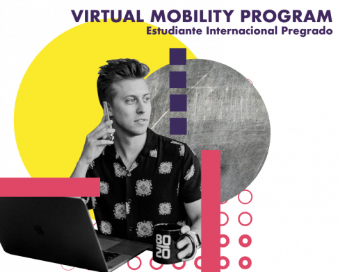 Virtual Mobility Program (VMP)